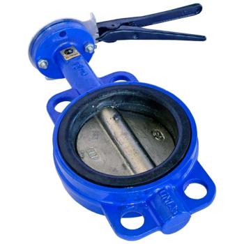 Затвор дисковый Ду250